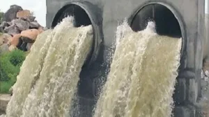 Naveen Patnaik  Lays Foundation  Stone For 4 Projects In Ekamra Worth Rs159.29 crore