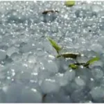 IMD Forecasts Isolated Hailstorm, Heavy Rainfall, Lightning in Odisha Districts On March 19