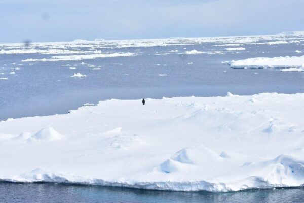 New NCPOR study attempts to resolve the Mystery of extremely low sea ice cover in Antarctic