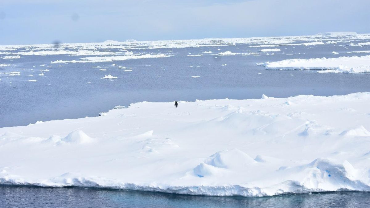 New NCPOR study attempts to resolve the Mystery of extremely low sea ice cover in Antarctic